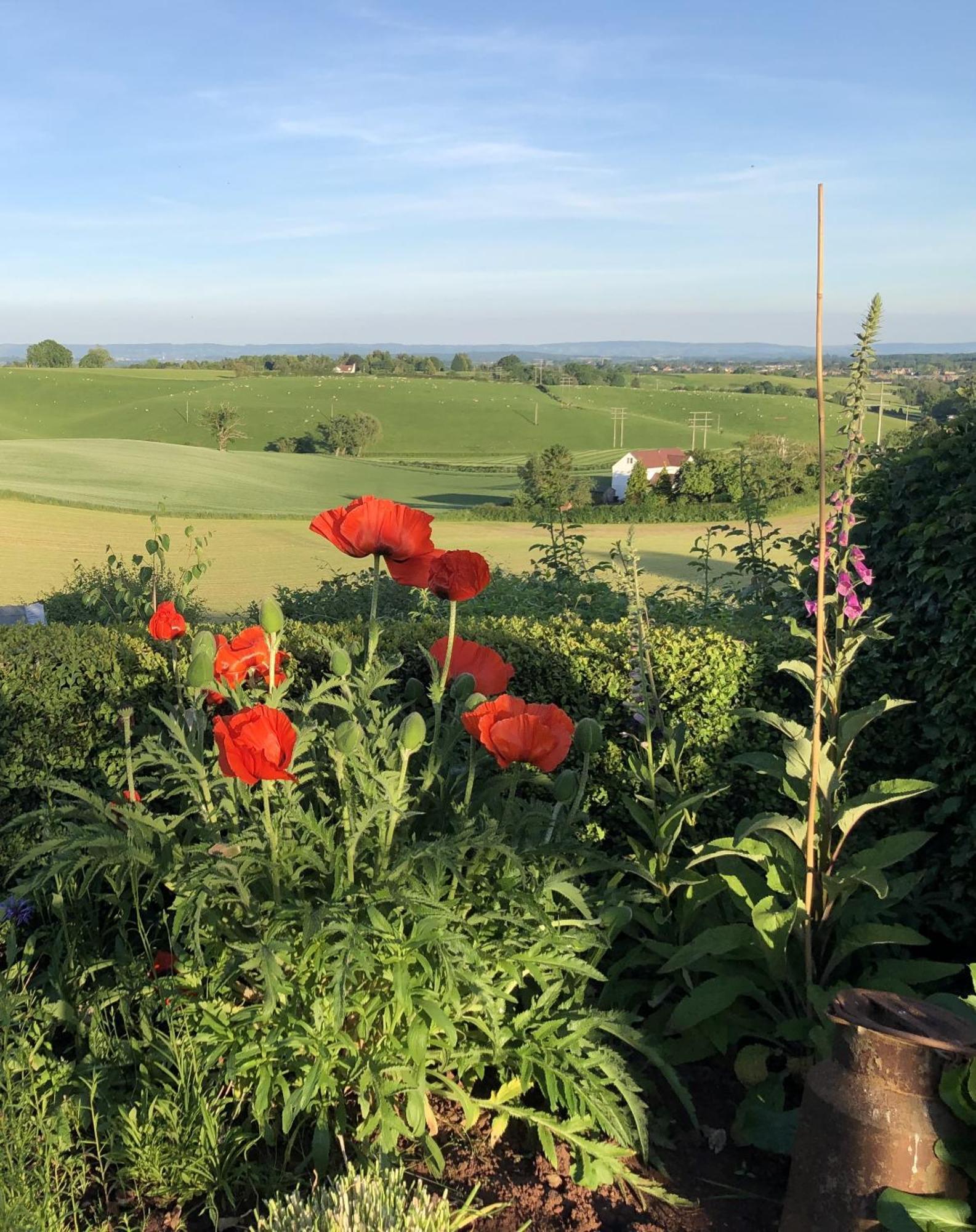 Betula Views Studio Newent 外观 照片